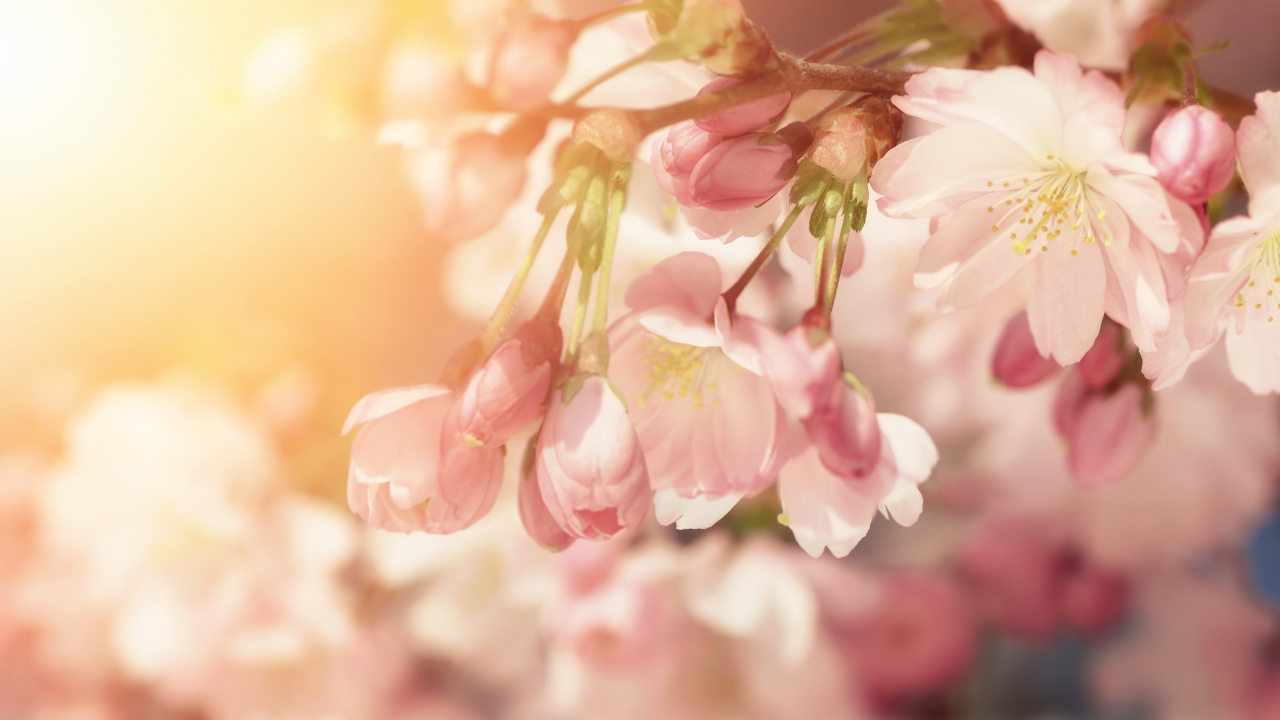 Preise Sexologische Körpertherapie